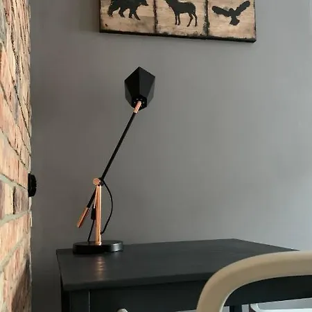 Apartment Pobuudka Ii Plebanska Z Widokiem Na Rynek Gliwice